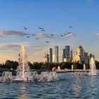 Moscow 4